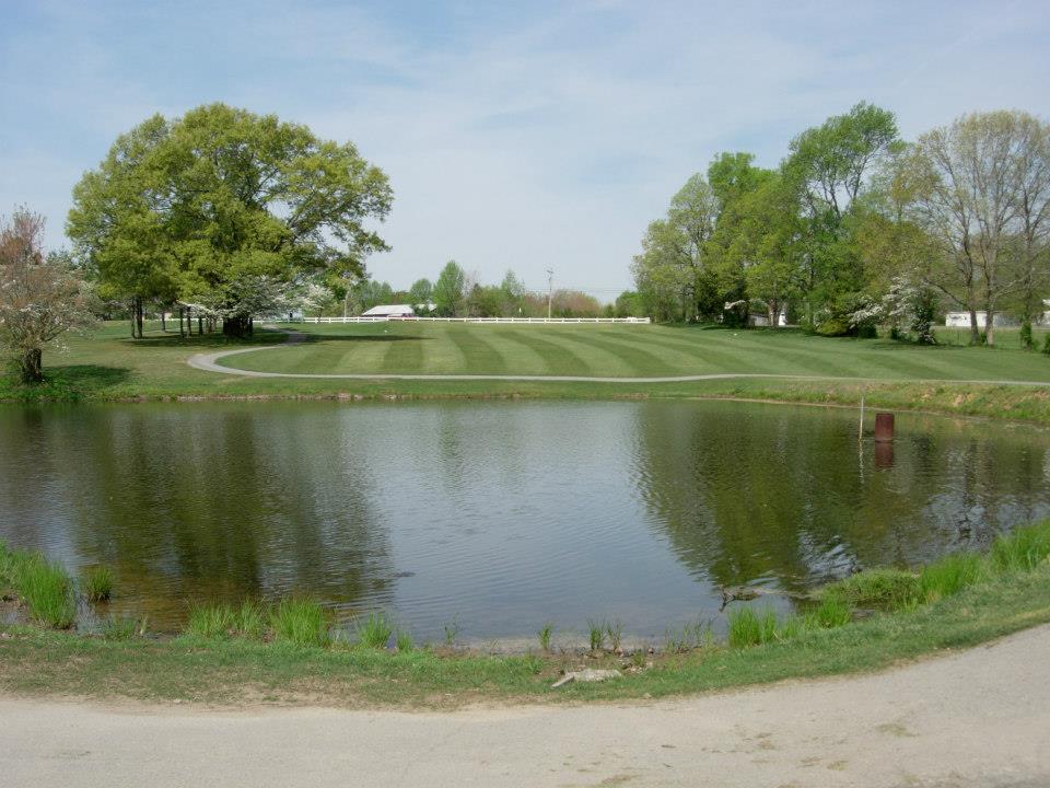 Lake view at course